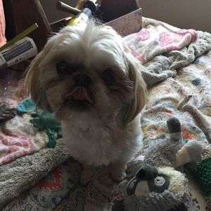 Meet your Posher, Darlene